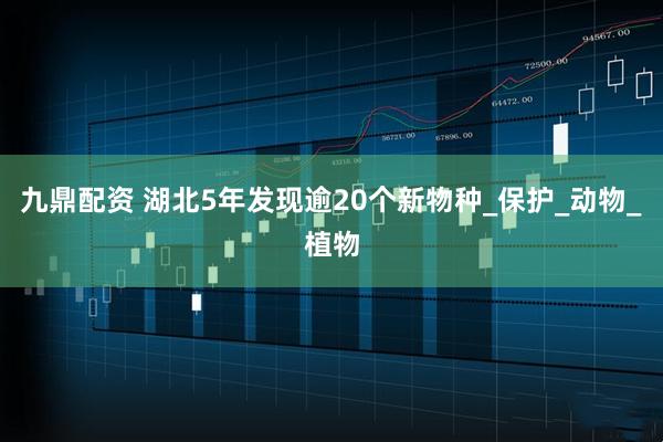 九鼎配资 湖北5年发现逾20个新物种_保护_动物_植物