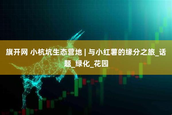 旗开网 小杭坑生态营地 | 与小红薯的缘分之旅_话题_绿化_花园