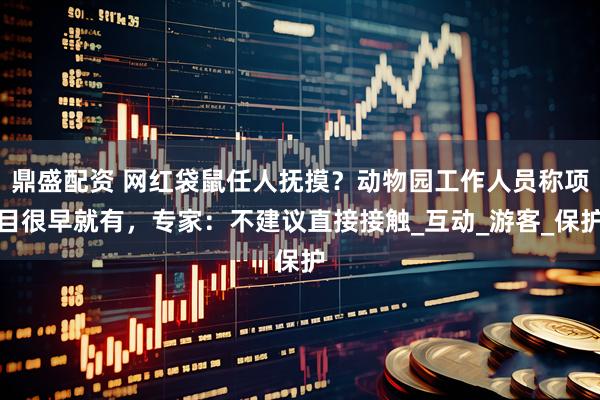 鼎盛配资 网红袋鼠任人抚摸？动物园工作人员称项目很早就有，专家：不建议直接接触_互动_游客_保护