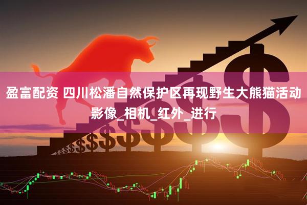 盈富配资 四川松潘自然保护区再现野生大熊猫活动影像_相机_红外_进行