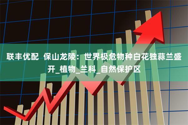 联丰优配  保山龙陵：世界极危物种白花独蒜兰盛开_植物_兰科_自然保护区