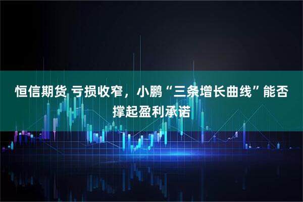 恒信期货 亏损收窄，小鹏“三条增长曲线”能否撑起盈利承诺
