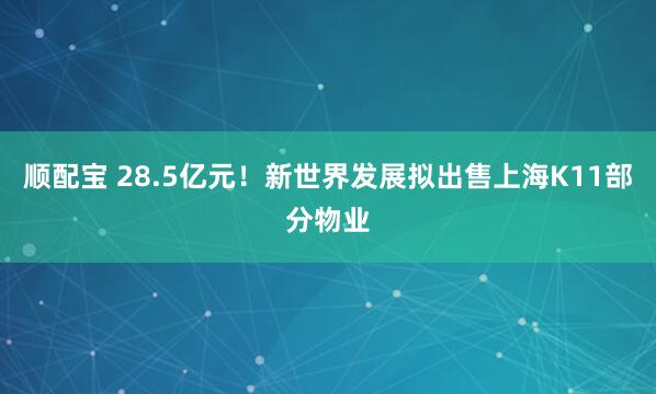 顺配宝 28.5亿元！新世界发展拟出售上海K11部分物业