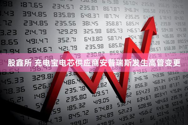 股鑫所 充电宝电芯供应商安普瑞斯发生高管变更